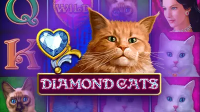 diamond cats